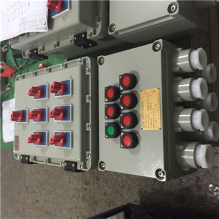 BXM防爆配电箱接线箱动力照明箱插座电源仪表箱空箱定制不锈钢插座箱