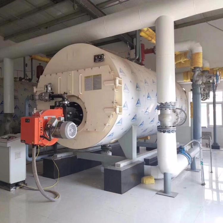 厂家供应 低氮30mg燃气锅炉 超低氮 蒸汽热水锅炉品牌 冷凝低氮燃气锅炉价格