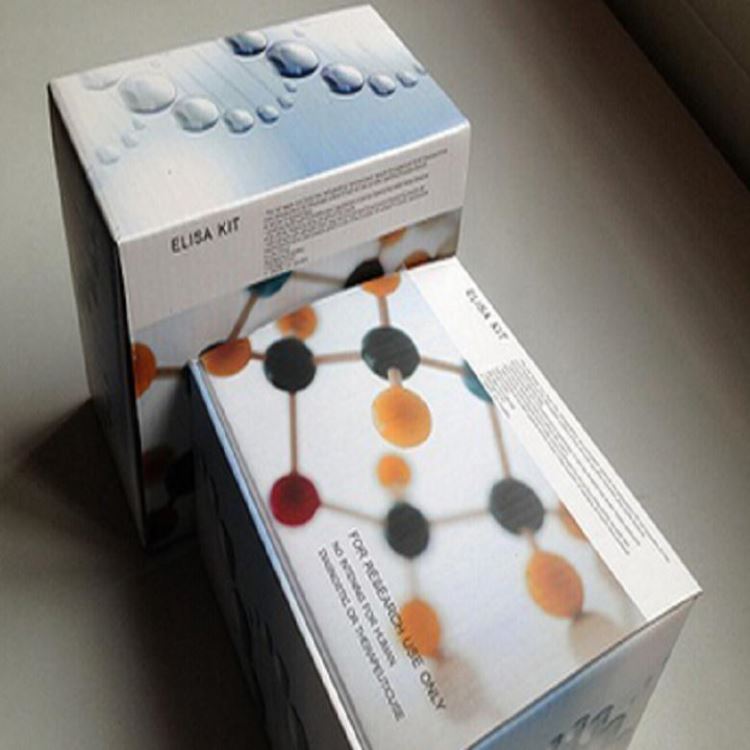 人体螨虫特异性IgEELISA试剂盒