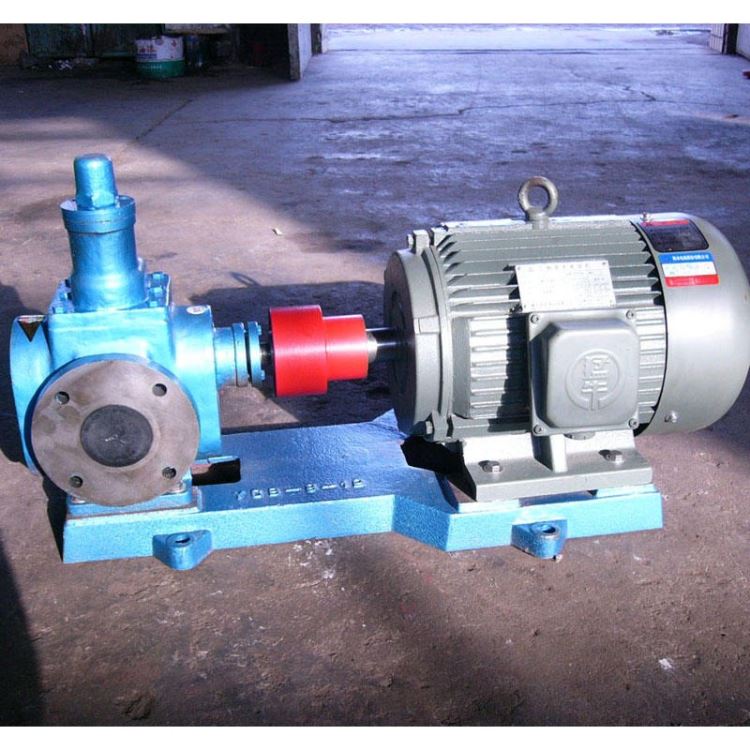 齿轮泵厂生产 输送植物油泵YCB0.6不锈钢齿轮泵 圆弧齿轮泵油泵