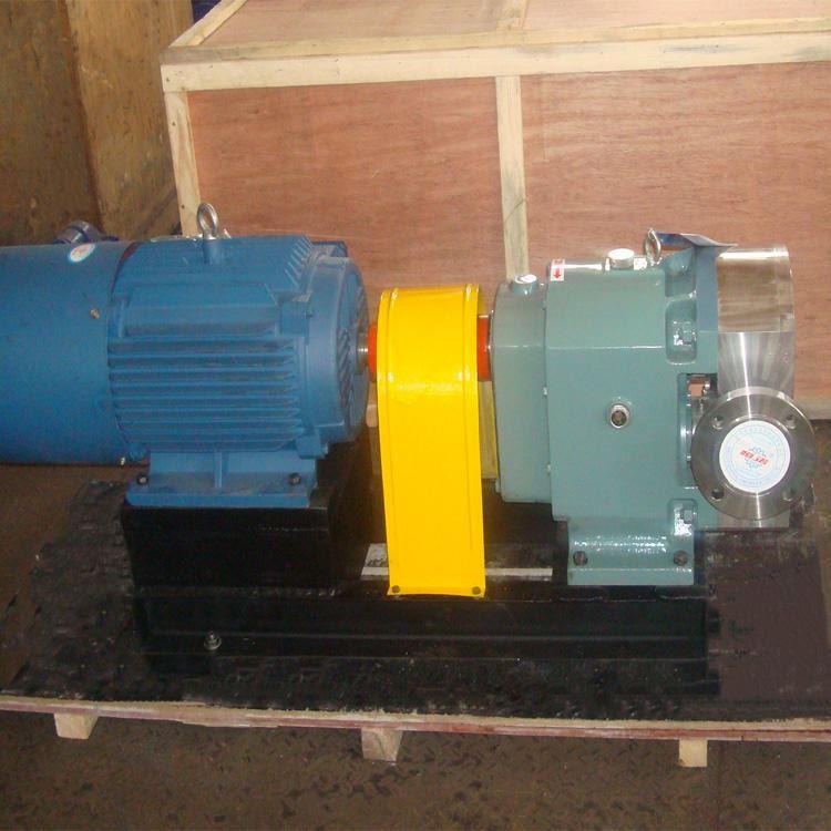3RP凸轮转子泵 不锈钢泵 食品级  供应转子泵 来福批发