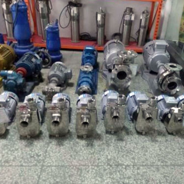 上海 转子泵 转子泵转子 nyp转子泵 厂家直销