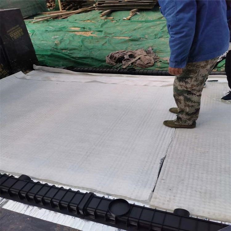 厂家供应车库顶板防护虹吸式雨水收集系统 防护虹吸排水系统