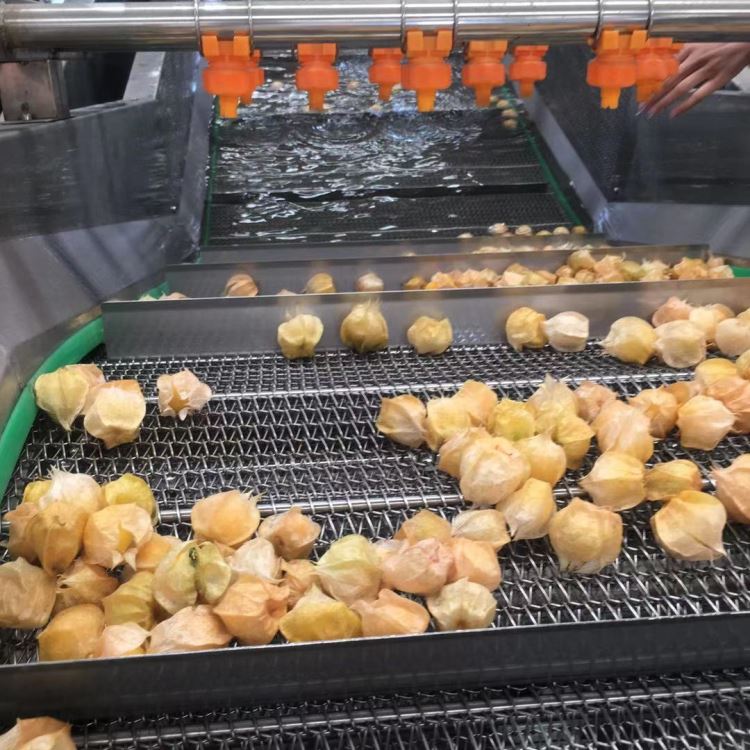 水果蔬菜清洗机气浴清洗机全自动多功能高压水流清洗机工厂用机器_高压水流清洗机_清洁设备_机械设备_供应_工品联盟网