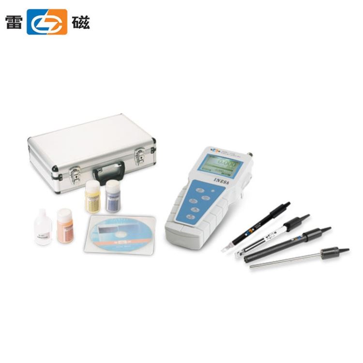 上海雷磁DZB-718-A 型便携式多参数水质分析仪
