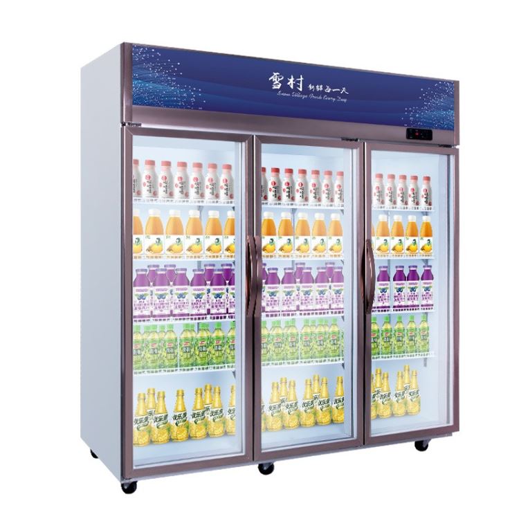 雪村冷藏饮料展示柜单门啤酒商用保鲜冰柜超市立式大容量两门冰箱