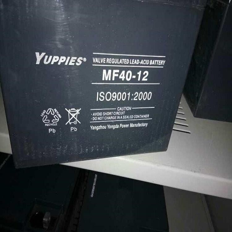 YUPPLES蓄电池MF200-12 铅酸免维护12V200AH 直流屏EPS/UPS安防监控设备