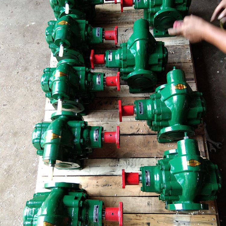 河北帕姆泵科技kcb200齿轮油泵 流量:12m3/h 防爆船用齿轮油泵KCB 工业油输送齿轮泵KCB