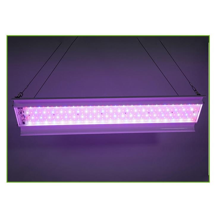 1000W麻类LED植物生长灯 80W红蓝白线性LED植物灯 防水全光谱LED植物灯-北极光能源