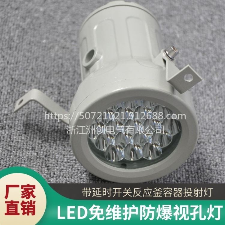 BSD96带延时防爆视孔灯 压铸铝反应釜视镜灯  LED观察聚光型投射筒灯