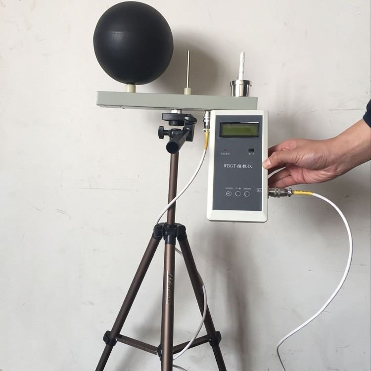 路博JTR04型黑球温度计 黑球 温度及空气温度测试