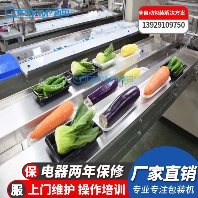 带托上海青包装机 蔬菜水果封口机 厂家直销