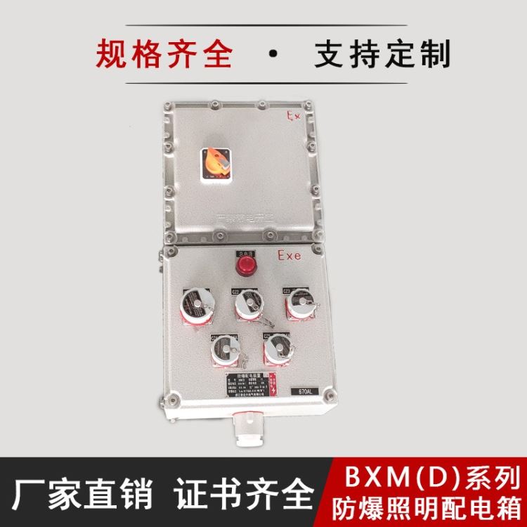 振安防爆/BXM（D）系列防爆照明配电箱/注意事项