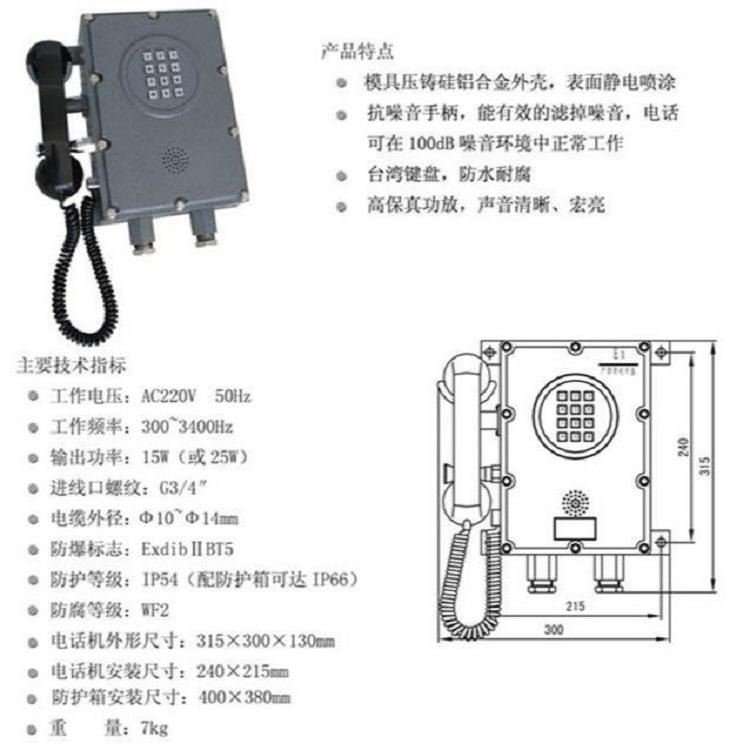 zx HZBA型扩音呼叫防爆自动电话机+DYS型防爆扬声器 型号:FF20-HZBA 库号：M334457